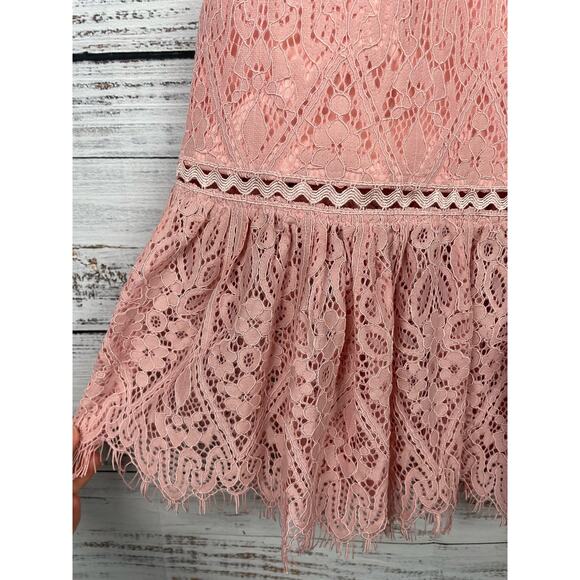 Foxiedox Pink Lace Dress Small High Neck Retro Pinup Boho Fairy Whimsical Formal - Picture 6 of 15